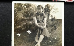 人人鲁免费播放视频